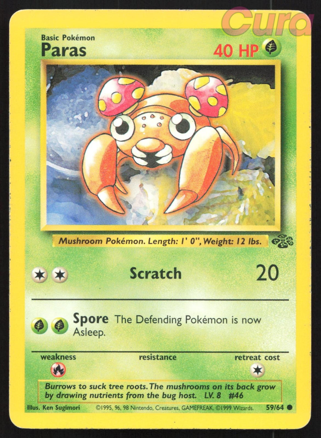 59/64 Paras Unlimited - Common - Jungle MP