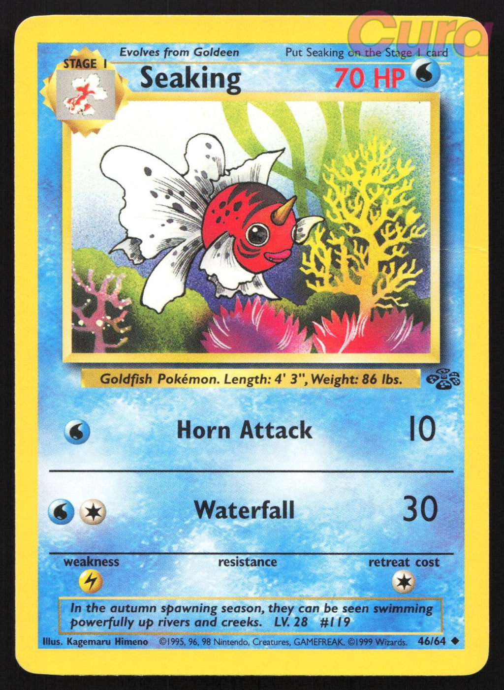 Binder Dent 46/64 Seaking Unlimited - Uncommon - Jungle MP