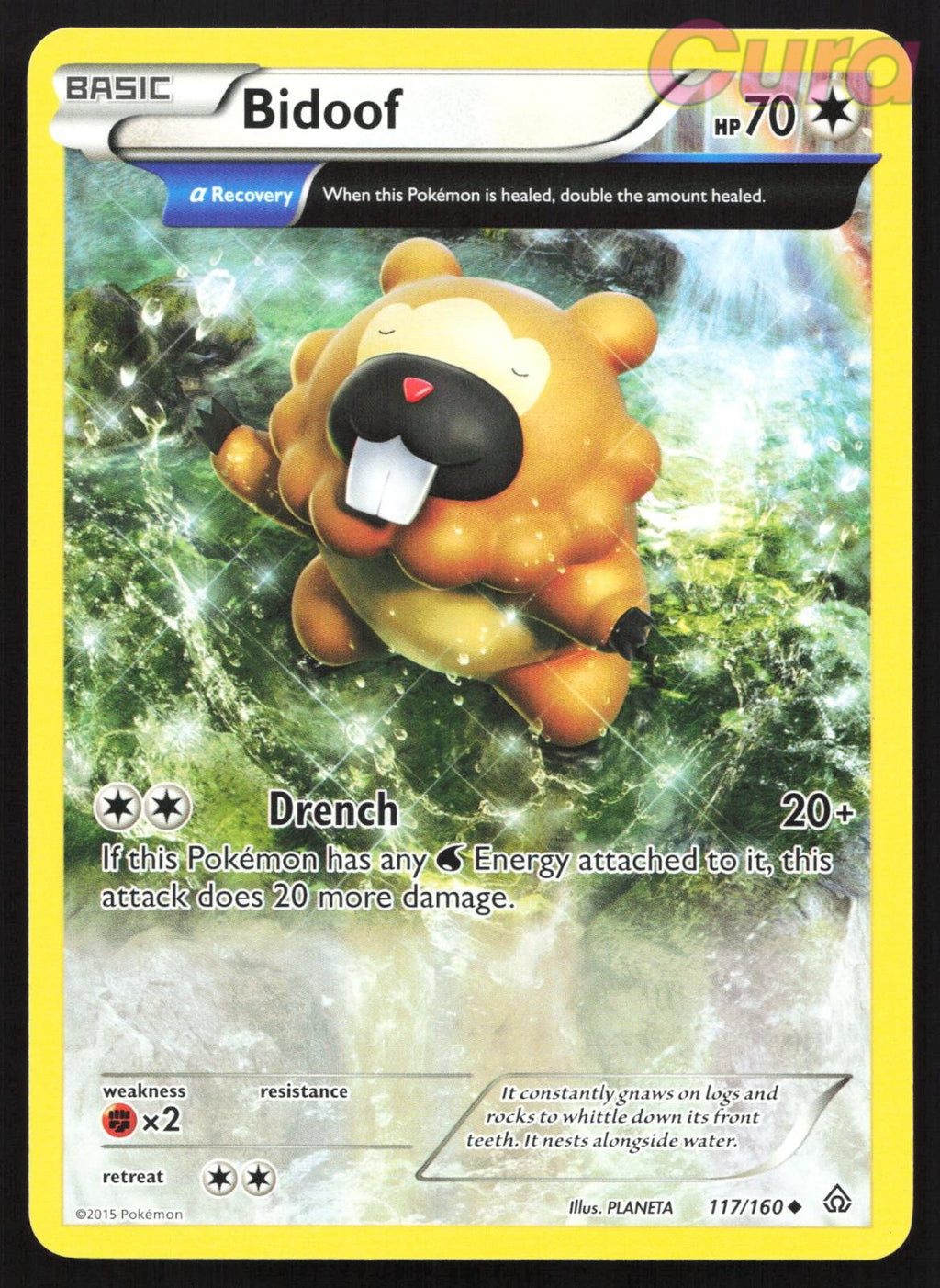 117/160 Bidoof - Uncommon - Primal Clash LP