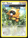 117/160 Bidoof - Uncommon - Primal Clash LP