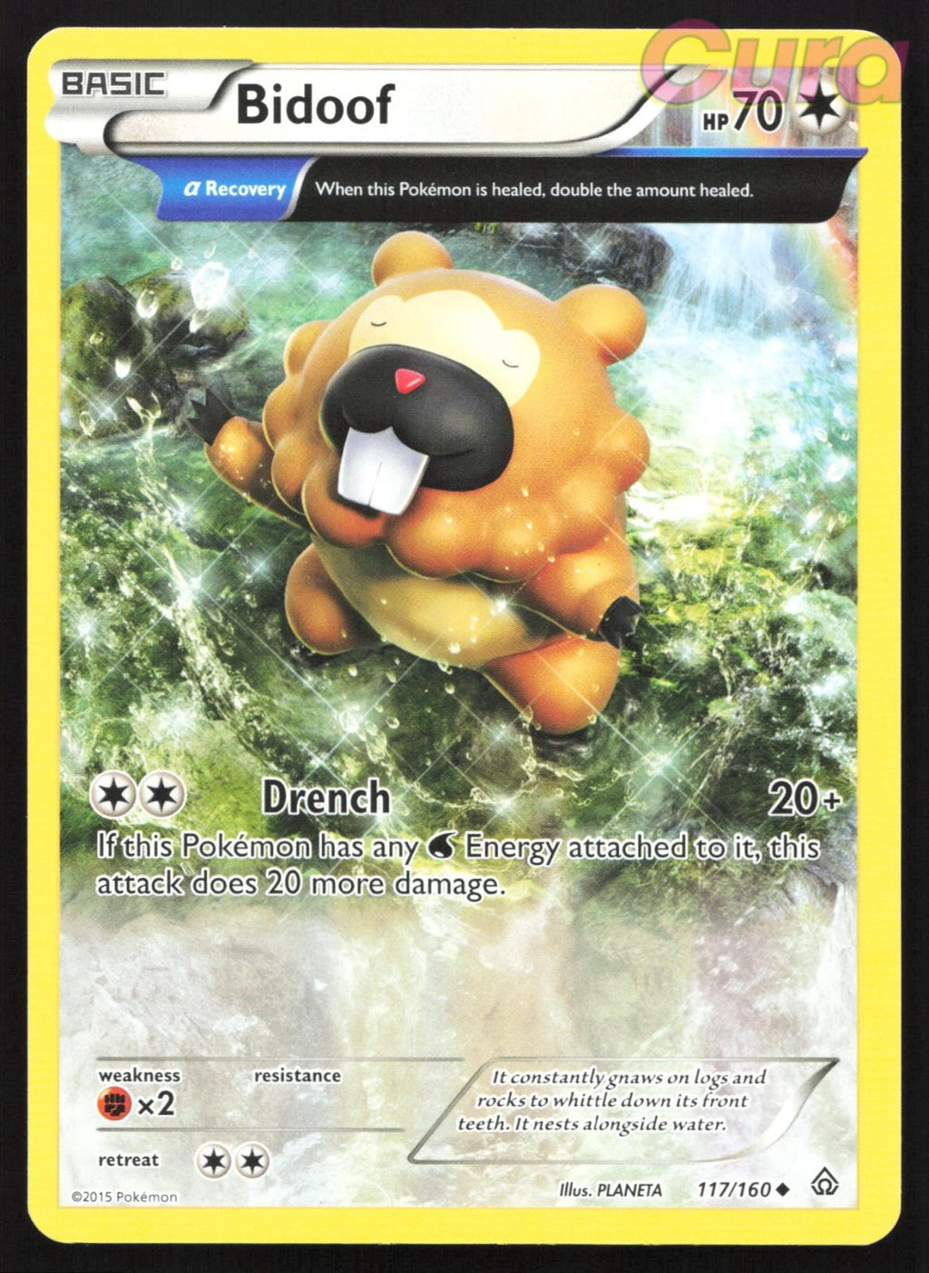 117/160 Bidoof - Uncommon - Primal Clash NM