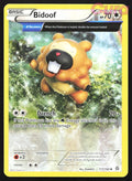 117/160 Bidoof - Uncommon - Primal Clash NM