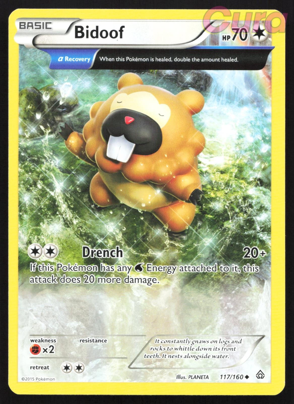 117/160 Bidoof - Uncommon - Primal Clash LP
