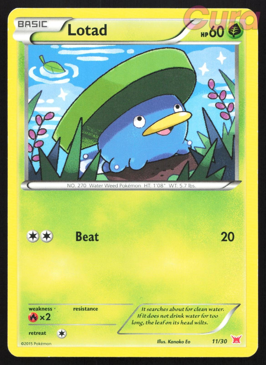 11/30 Lotad - - XY Trainer Kit Latias Latios MP