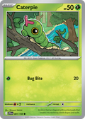 Caterpie