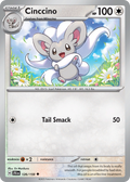 Cinccino