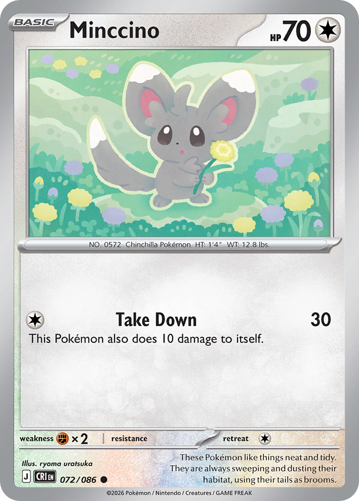 Minccino