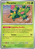 Maractus