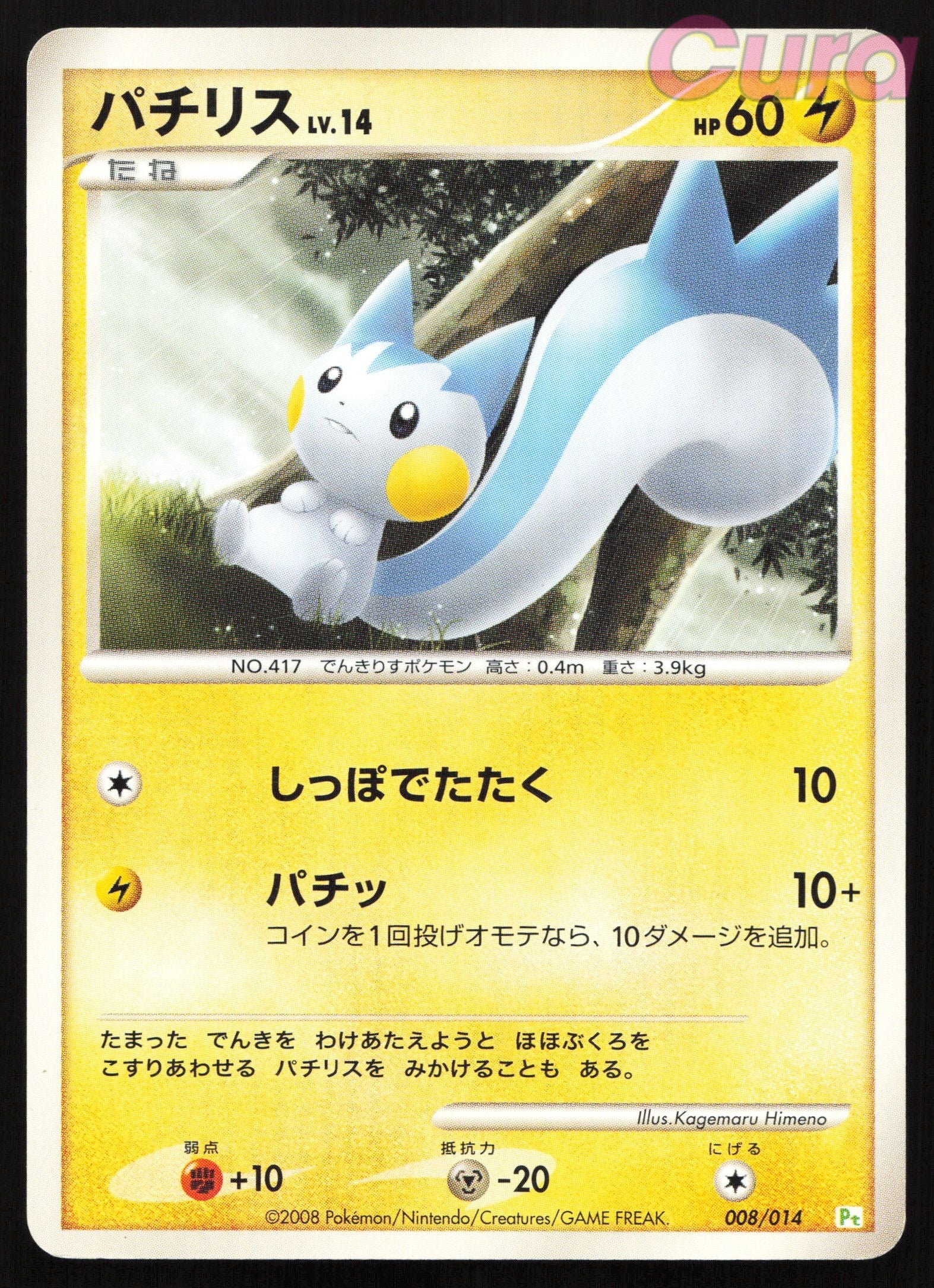 008 Pachirisu Non Holo - - Turtwig Half Deck Japanese MP Imprint Front
