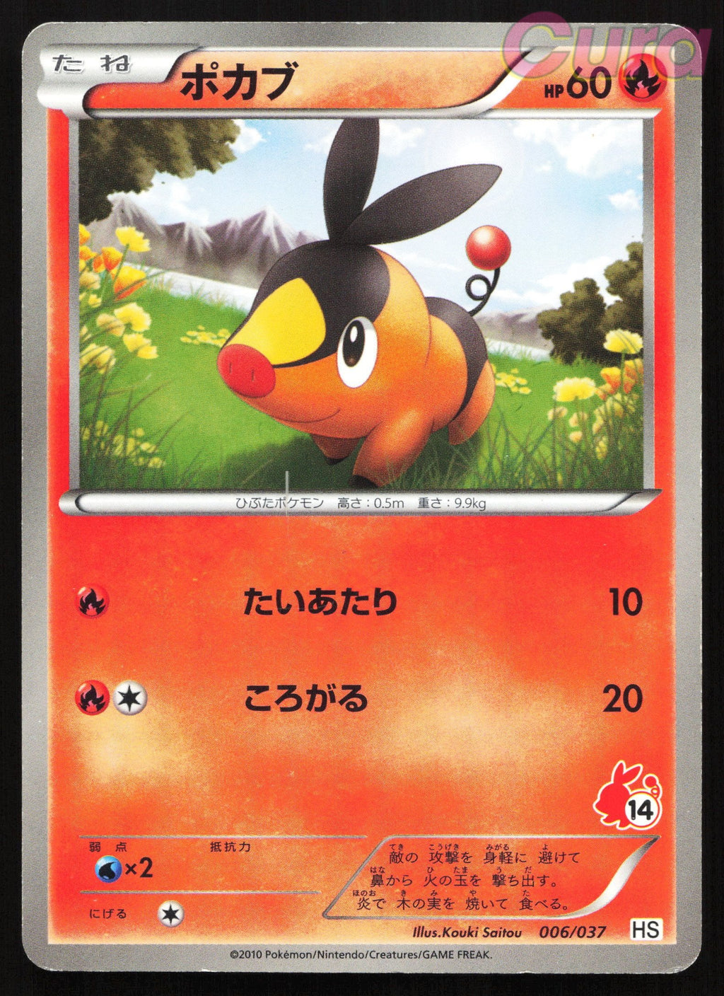 006 Tepig Holo - - BW Beginner Set Japanese NM